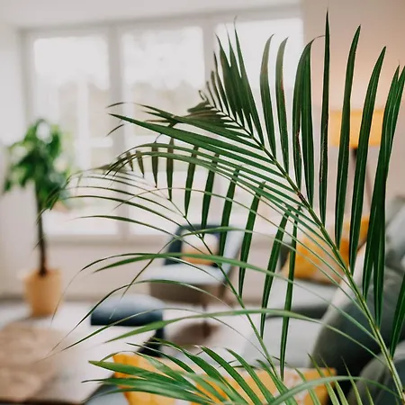 Apartamento Großzügiges, Stylisches I 8 Personen I Eifel I Naturliebhaber I *