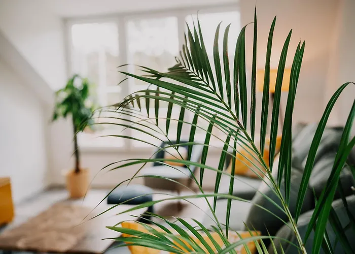 Lägenhet Grosszuegiges, Stylisches I 6 Personen I Eifel I Naturliebhaber I *